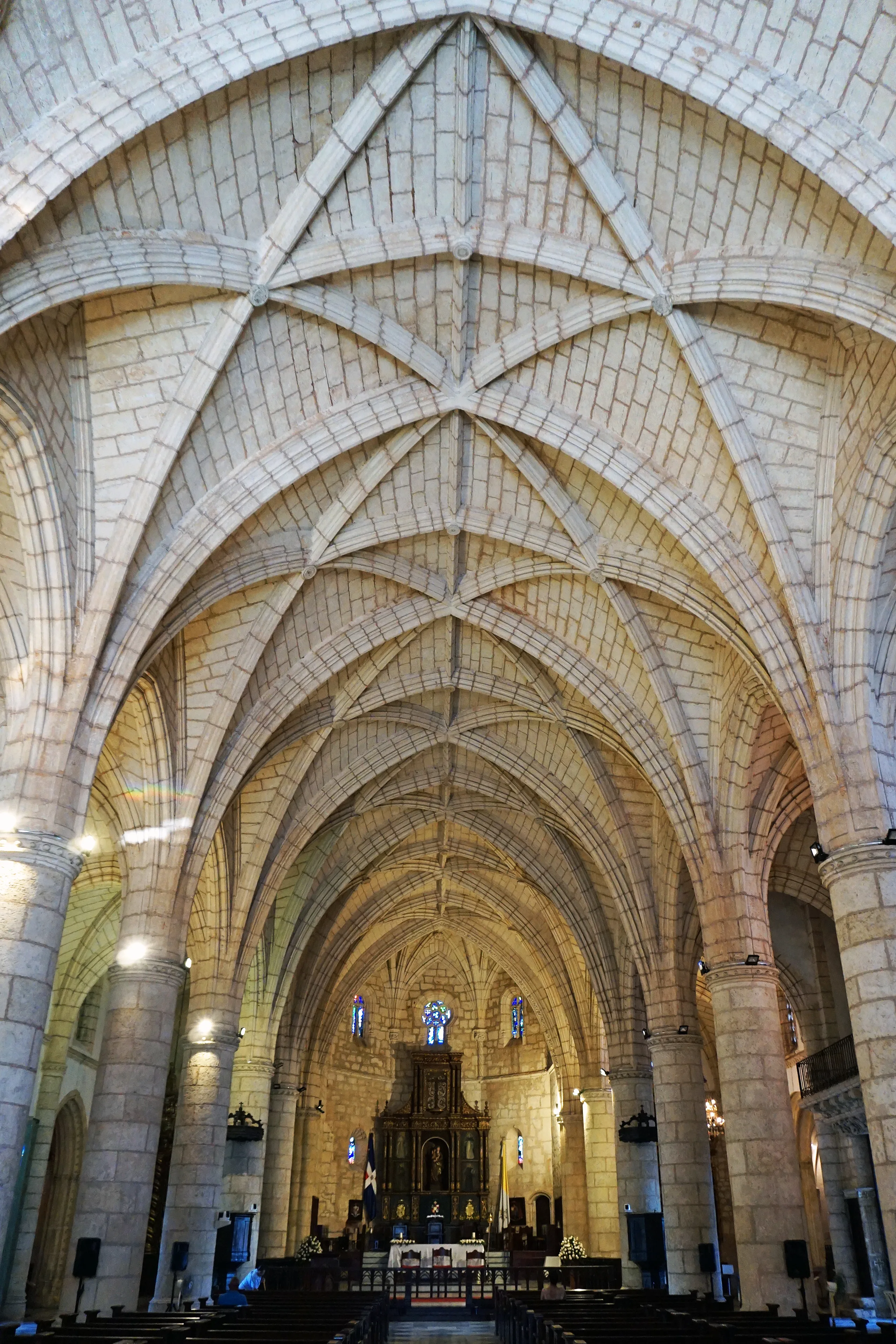 The ribbed stone vaults over the nave of the Catedral Primada de América
